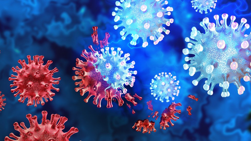 New Virus Spreads: Is It Another Pandemic? 1 New Virus Spreads: Is It Another Pandemic?